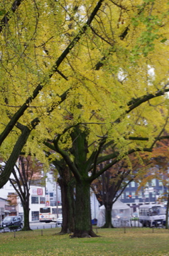 f0054677_8244095.jpg