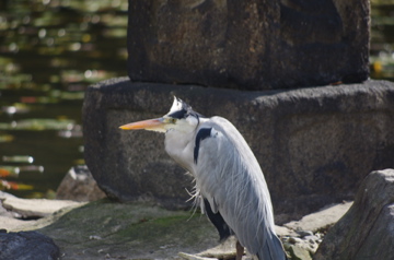 f0054677_8274645.jpg