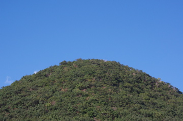 f0054677_8433682.jpg