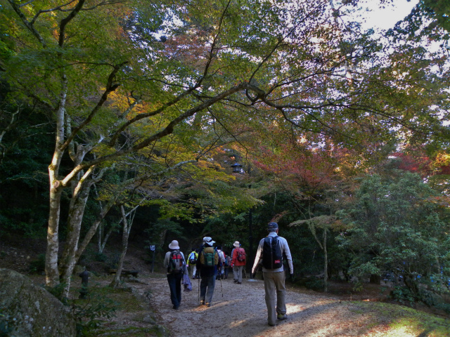 d0245378_1736432.jpg