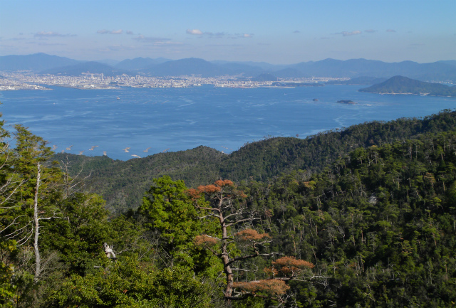 d0245378_1744971.jpg