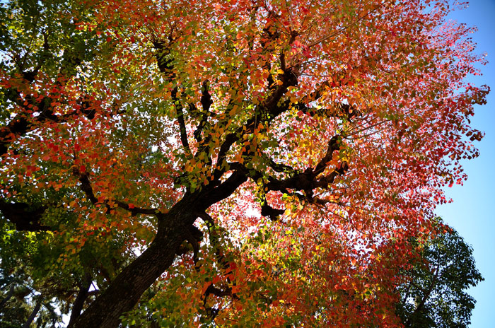 f0108478_2011517.jpg