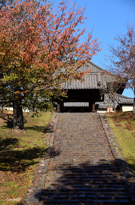 f0108478_20123442.jpg