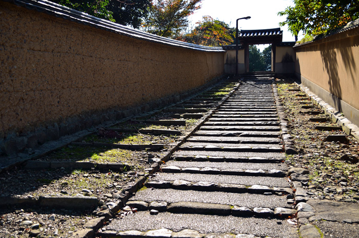 f0108478_20142011.jpg