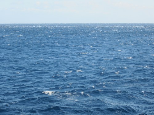 c0204385_724069.jpg