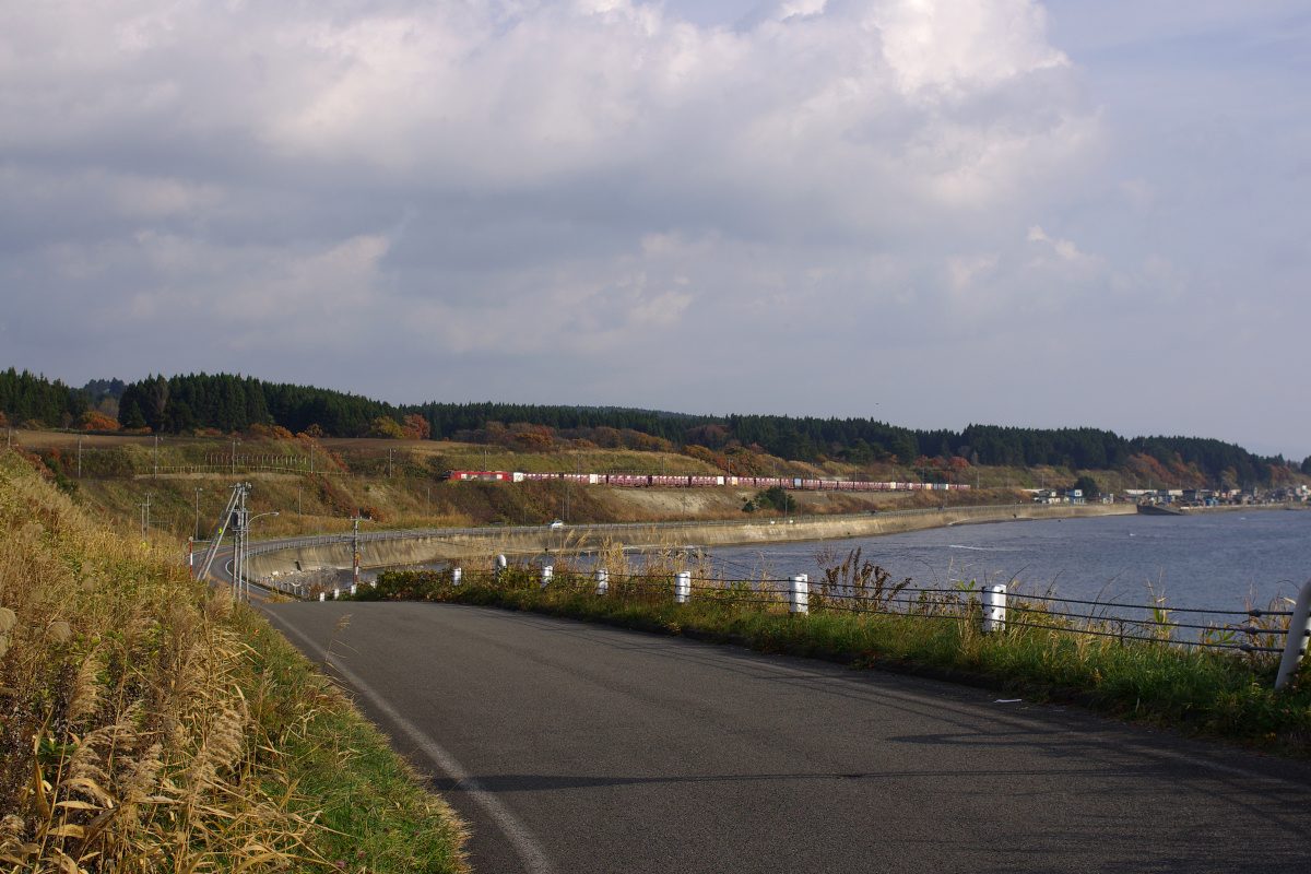 e0051186_1952885.jpg