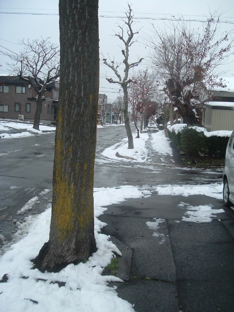 d0201194_2326447.jpg