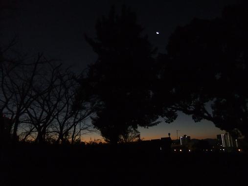 e0048994_926262.jpg