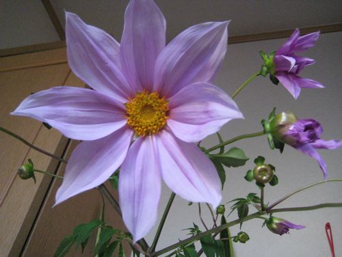 f0201297_203294.jpg