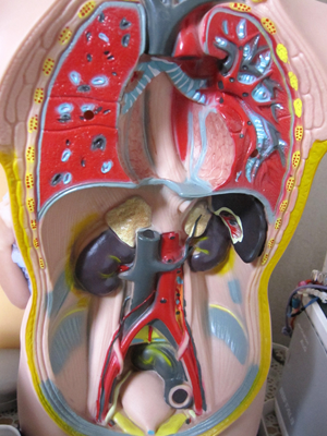 f0141700_172222.png