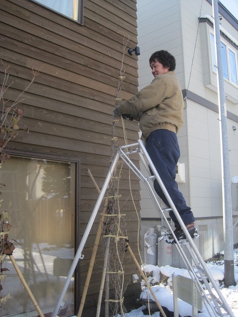 f0202703_22382926.jpg