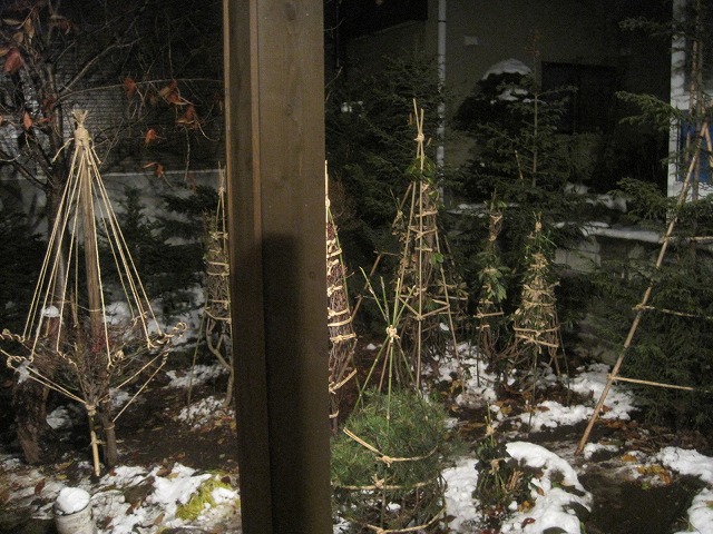 f0202703_22594256.jpg
