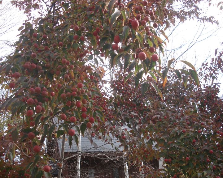 b0148106_9125789.jpg