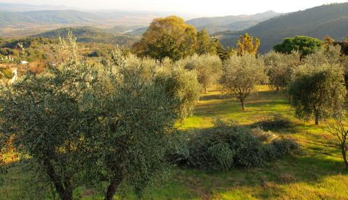 a0207108_2343563.jpg