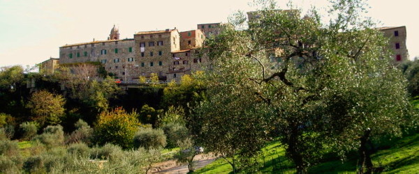 a0207108_331287.jpg