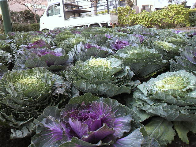 f0127408_234417.jpg