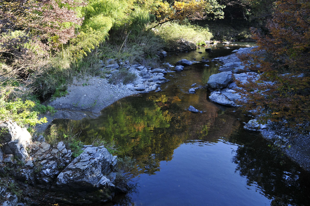 f0206417_1881085.jpg