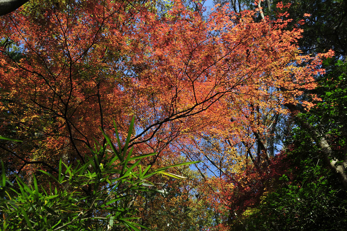 f0206417_20244219.jpg