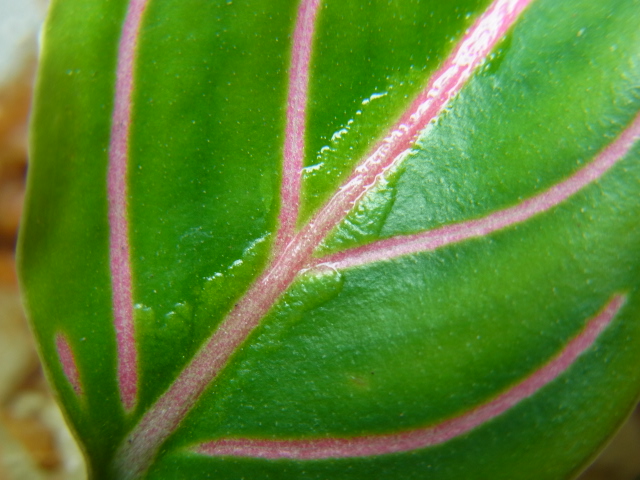 e0206818_22573528.jpg