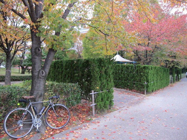 c0225420_1958047.jpg