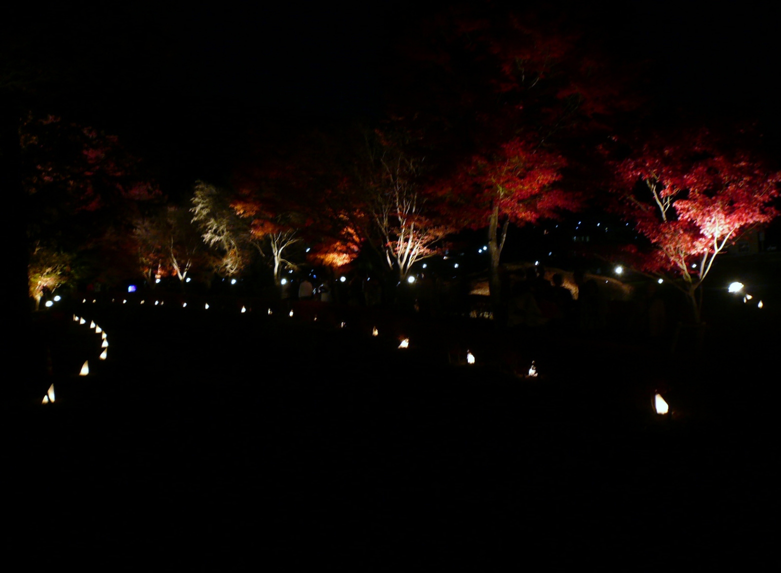 f0163920_2341343.jpg
