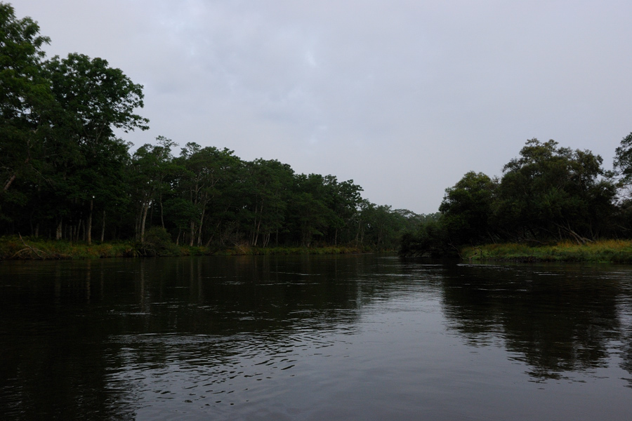 b0146024_21541886.jpg