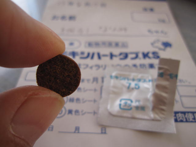 e0191826_2332758.jpg