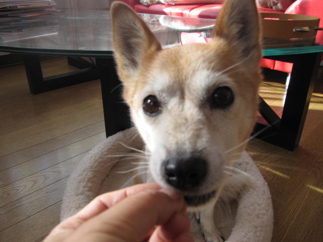 e0191826_23331073.jpg