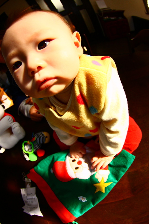 d0158028_18553889.jpg