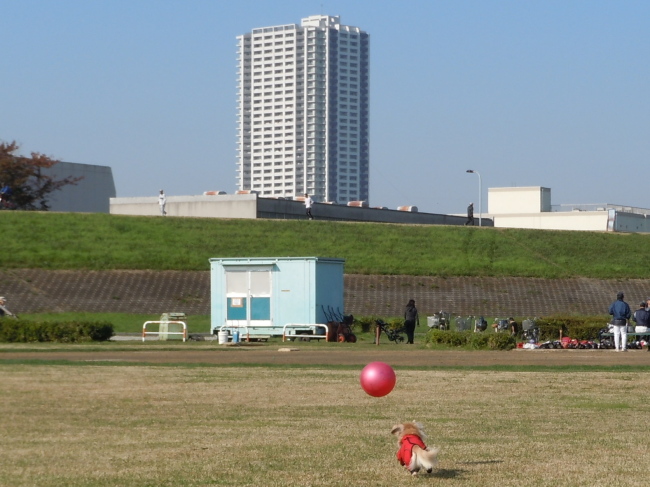 c0117831_20171579.jpg