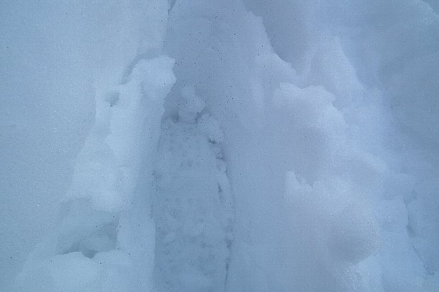 f0118332_23303761.jpg