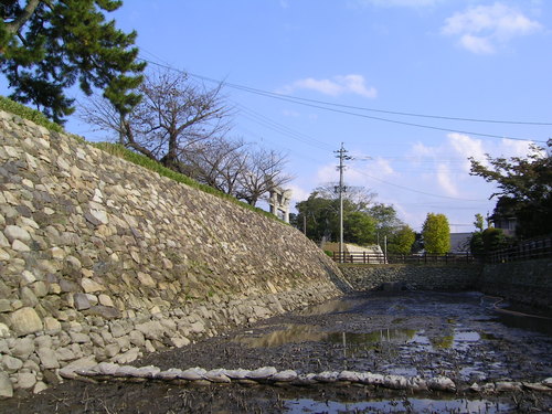 b0237734_2324178.jpg