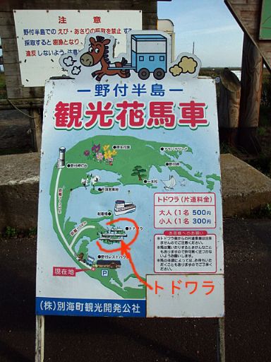 b0012636_10545914.jpg
