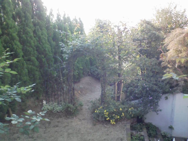 e0089438_23185492.jpg