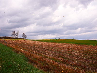 e0022839_21543373.jpg
