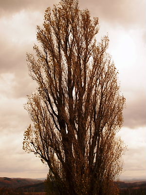 e0022839_21545332.jpg