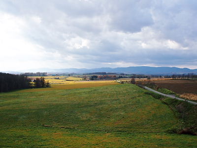 e0022839_2155680.jpg
