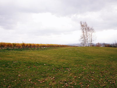 e0022839_2156380.jpg
