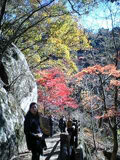 f0210439_17493044.jpg