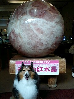 f0210439_175787.jpg