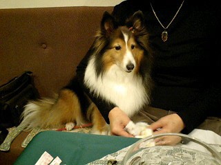f0210439_2158553.jpg