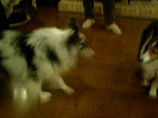 f0210439_22211793.jpg