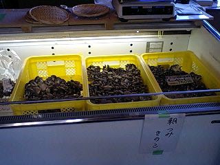 f0210439_22571859.jpg