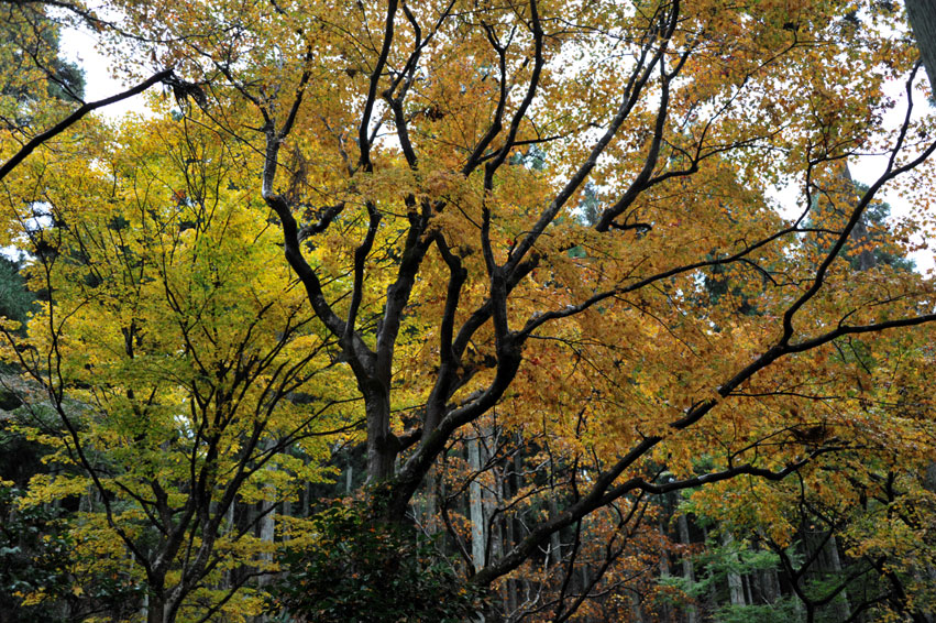 b0075541_2243440.jpg
