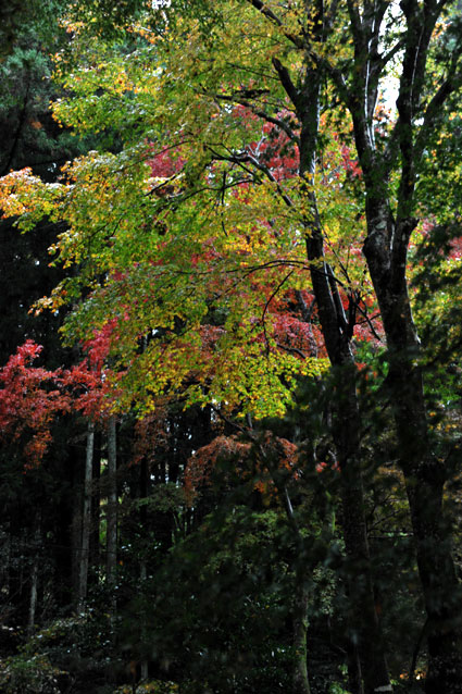 b0075541_2285568.jpg