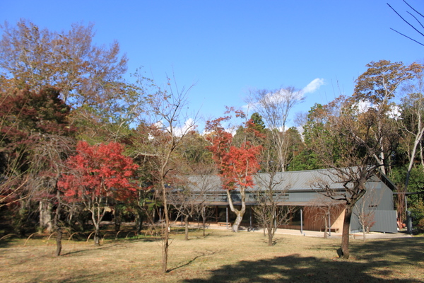 e0234741_10575969.jpg