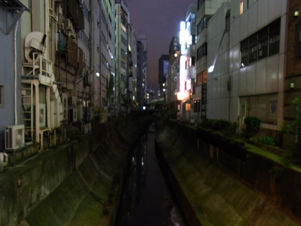 a0175545_0342481.jpg