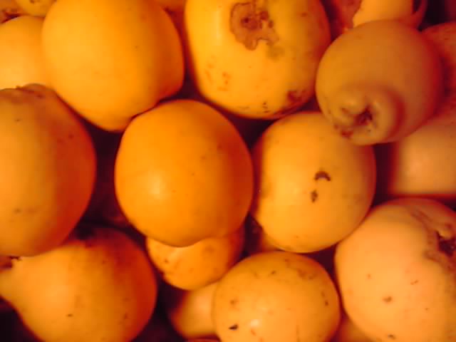 e0016150_3111467.jpg