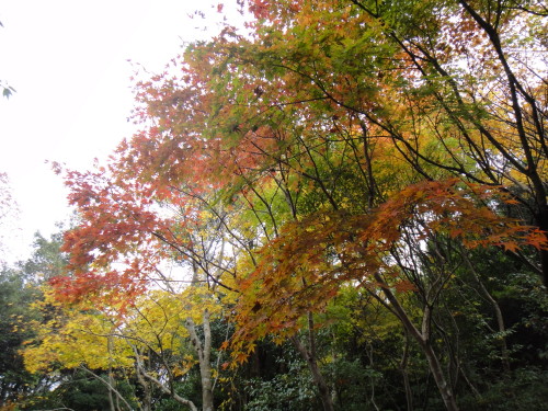 c0179351_21343625.jpg