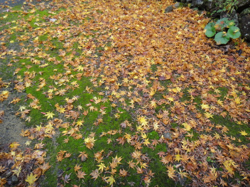 c0179351_21351916.jpg